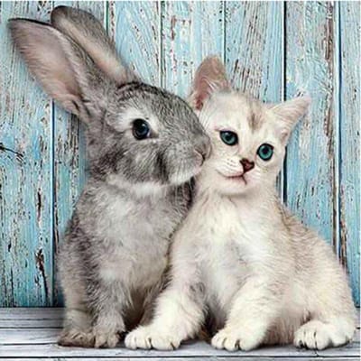 Peinture diamant thème lapin et chat, broderie 5D à faire soi-même, mosaïque, décor, cadeau pour la maison 30X30CM gray