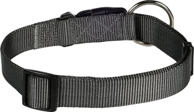 Flamingo Ziggi - Halsband Honden - Halsband Ziggi Donkergrijs L 45-65cm 25mm - 1st - 134626 - 1st