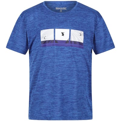 Regatta Kinderen/Kinderen Findley Grafisch T-shirt Marl (Sterk Blauw)