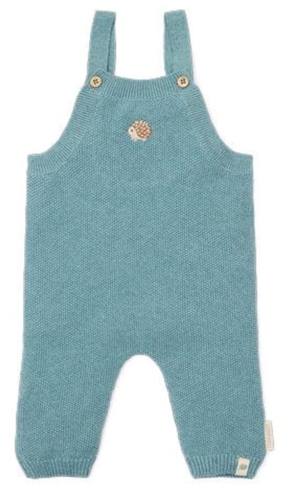 Little Dutch Boxpak - Maat 56 - Boxpakje Jongens - Baby Blue, Blauw - Forest Friends Newborn