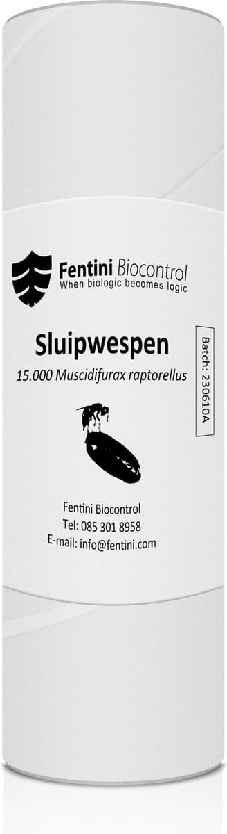 Sluipwespen tegen vliegen in uw stal met droge of stromest - Sluipwesp / stalvliegen biologisch bestrijden / 15.000 Muscidifurax raptorellus