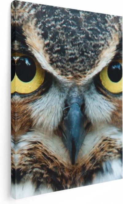 Artaza Canvas Schilderij Dierenkop Uil - 30x40 cm - Klein - Wanddecoratie Woonkamer - Muurdecoratie Vogel - Kamer Accessoires