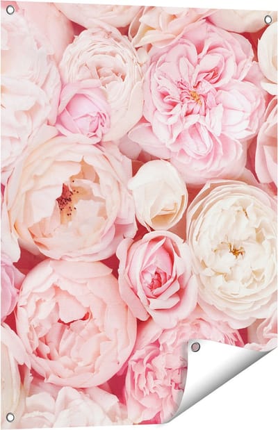 Gards Tuinposter Witte Roze Rozen Boeket - Bloemen - 60x80 cm - Tuindoek - Tuindecoratie - Wanddecoratie buiten - Tuinschilderij