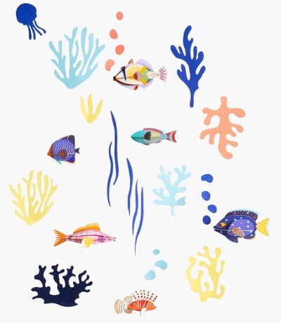 Wall of Curiosities - Fish Hobbyist