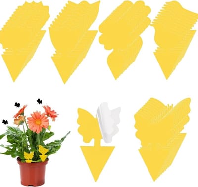Stickers tegen rouwmuggen - 50 gele stuks - effectieve bestrijding - vliegenvangers - insectenvallen - gele borden
