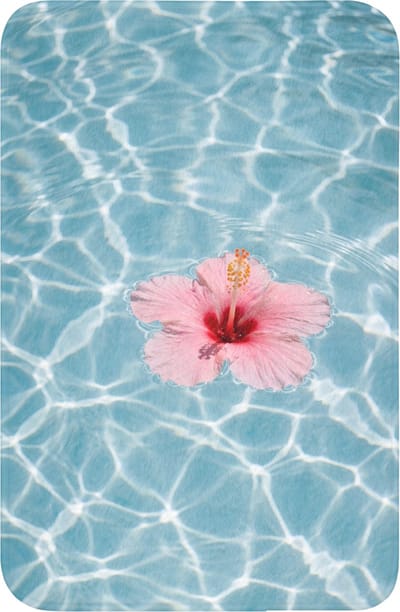 WC mat 40x60 cm - Antislip - Hibiscus - Water - Roze - Toiletmat - Vloermat - Douchemat - Toilet tapijt - Toiletmatten