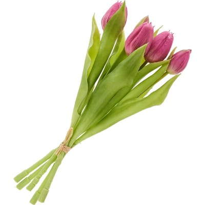 Tulpen bos met 3 bloemen en 2 knoppen - Fuchsia
