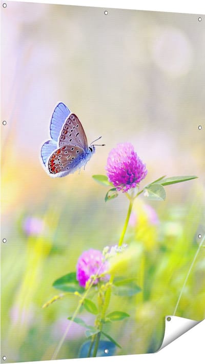 Gards Tuinposter Blauwe Vlinder bij een Paarse Bloem - 100x150 cm - Tuindoek - Tuindecoratie - Wanddecoratie buiten - Tuinschilderij