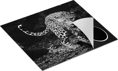 Chefcare Inductie Beschermer Luipaard in het Bos - Zwart Wit - 60x50 cm - Afdekplaat Inductie - Kookplaat Beschermer - Inductie Mat