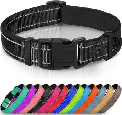 Reflecterende hondenhalsband - Zacht neopreen - Gevuld ademend - Nylon - Huisdierhalsband - Voor middelgrote honden - M - Zwart