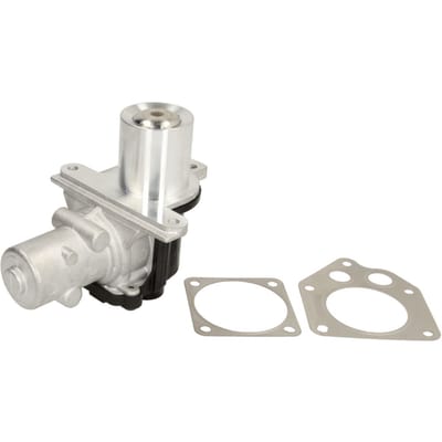 Borg Warner EGR-klep WAHLER 710928D