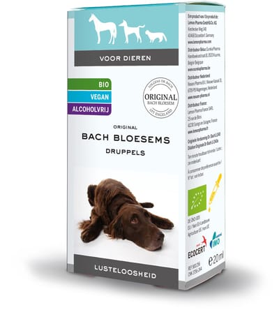 Bach Lusteloosheid Bach - Big Dog Company