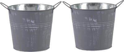 Mega Collections Emmer/plantenpot/bloempot - 2x - zink - zilvergrijs - D18 x H16 cm
