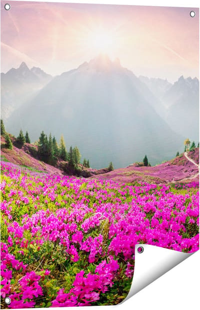 Gards Tuinposter Rhododendron Bloemenveld in de Alpen - 60x80 cm - Tuindoek - Tuindecoratie - Wanddecoratie buiten - Tuinschilderij