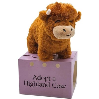 Peluche Fluffy Bull Vache des Highlands Légende Peluche Jouet en Peluche Réaliste Figurine en Peluche Vache des Highlands Animal en Peluche Poupée