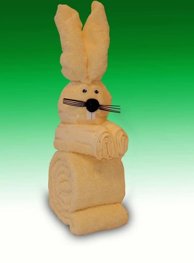 Handdoekgeschenk Pop Haas