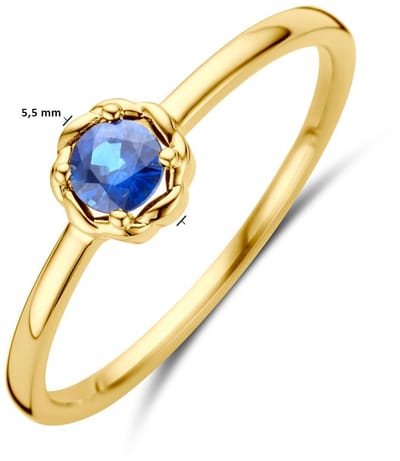 14K Geelgoud Ring Saffier 4031435