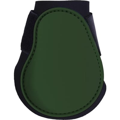 Paardenvoeten QHP