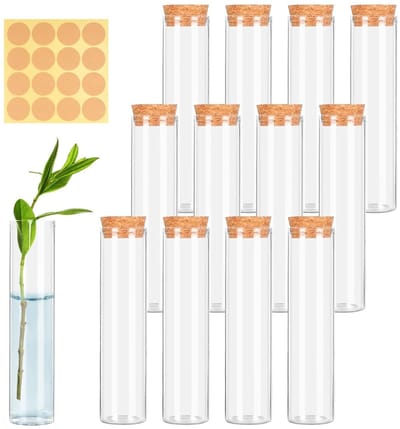 Set van 12 Heldere Korken Proefbuizen, 30 mm x 120 mm Glazen Tubes met Labels voor Bloemen, Specerijen en Vloeistoffen, DIY Projecten