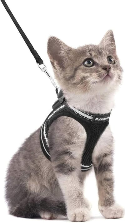 Verstelbaar Kattentuig met Riemenset voor Kleine Katten - Ontsnappingsbestendig en Comfortabel