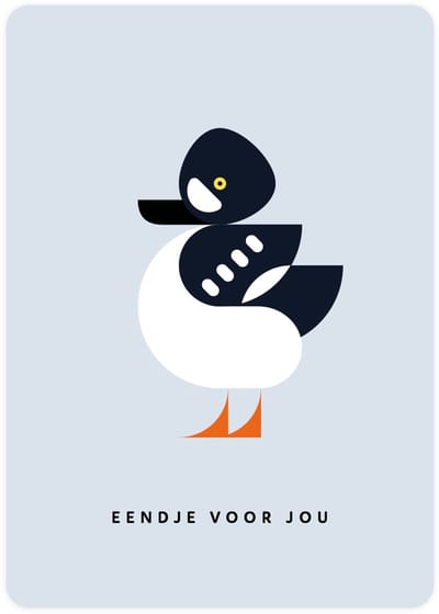 Eendje - 4x leuke wenskaarten - kaarten om te versturen - kaartenset - kaart met IJslandse Brilduiker - vier kaarten met vogels