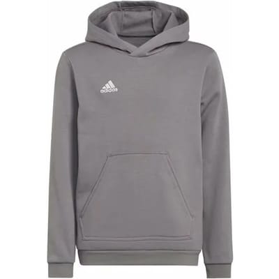 adidas Performance Entrada 22 Sweat Hoodie - Kinderen - Grijs- 140