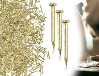 Dailygoods- Wandnagels 100 g - Mini-nagels - Fotospijkers met ronde kop - Doe-het-zelf accessoires - Kunstnagels - 1,2 x 15 mm - Spijkers
