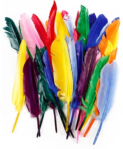 Veren, l: 17-20 cm, kleuren assorti, eend, 250 assorti