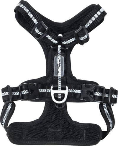 Jack And Vanilla - Tuigjes - Expedition Sky Tuigje - Zwart - Xl Expsh2050 - 175450