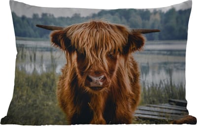 Buitenkussens - Tuin - Koeien - Schotse hooglander - Bruin - Natuur - 50x30 cm