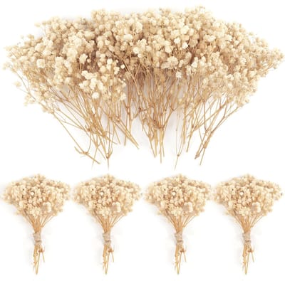 Unyqoos® Gedroogde ivoorwitte gypsophila bloemen voor creatieve decoratie projecten