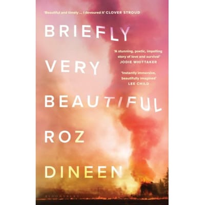 Briefly Very Beautiful - Roz Dineen