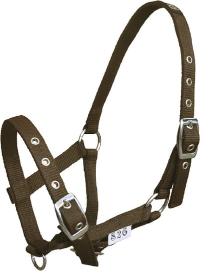 S2g Halster Standard Veulen Verstelbaar Nylon Bruin