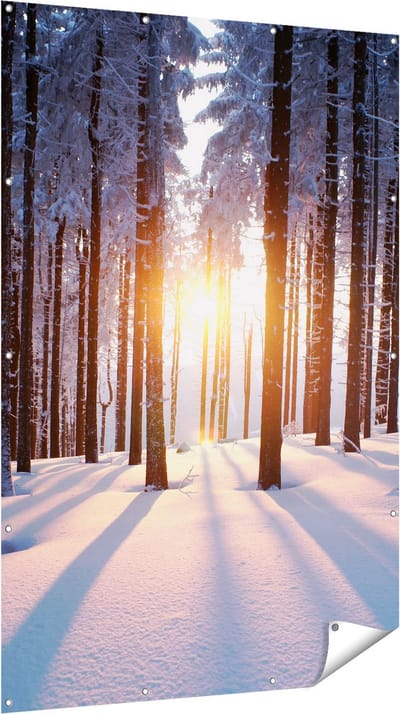 Gards Tuinposter Bos met Sneeuw tijdens de Zonsondergang - 120x180 cm - Tuindoek - Tuindecoratie - Wanddecoratie buiten - Tuinschilderij