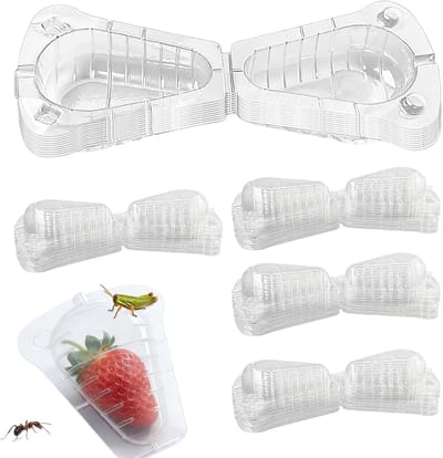 Aardbeienbeschermers - Fruitbeschermers - Planten Beschermen - Ventilatie Ontwerp - 50 stuks - Transparant