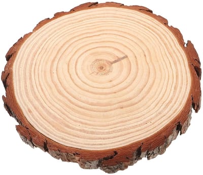 Houten Stapstenen - Tuin Tegels - Decoratieve Paden - Antislip Textuur - 27 x 26 cm - Beige
