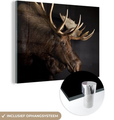 MuchoWow® Glasschilderij 160x120 cm - Schilderij acrylglas - Eland - Gewei - Portret - Foto op glas - Schilderijen