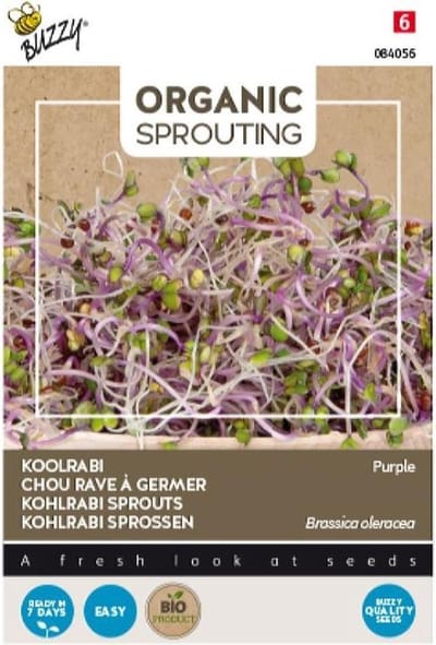 Buzzy® Organic Sprouting Koolrabi Blauwpaars (BIO) - Unieke kleur en milde, frisse smaak