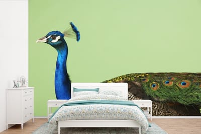 Behang - Fotobehang Pauw - Dieren - Groen - Breedte 330 cm x hoogte 220 cm