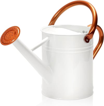 Gegalvaniseerde Metalen Gieter met Afneembare Tuit - 1 Gallon Plantengieter voor Binnen en Buiten
