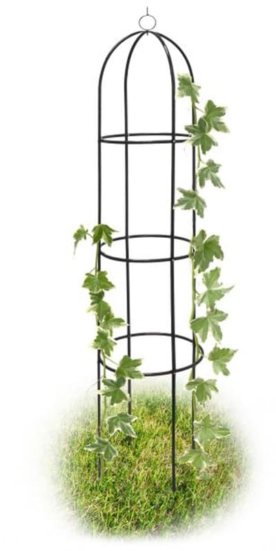 Doodadeals® Rozenboog – Plantensteun Klimplanten – Weerbestendig Metaal – Donkergroen – 190x40x40 cm