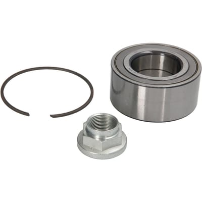 Schaeffler Fag Wiellagerset FAG 713 6203 10
