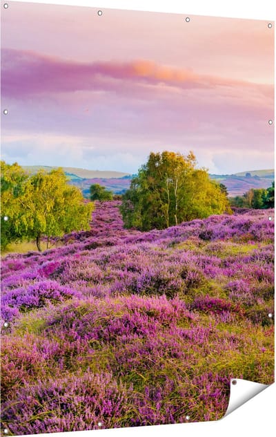Gards Tuinposter Paarse Weide - 120x160 cm - Tuindoek - Tuindecoratie - Wanddecoratie buiten - Tuinschilderij