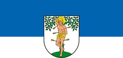 Vlag Blieskastel 100x150cm
