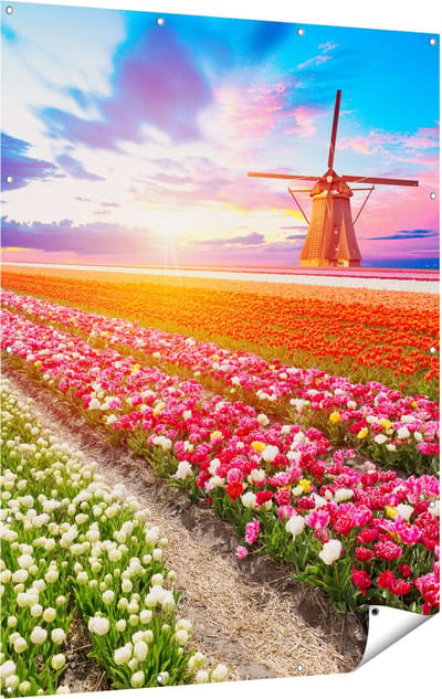 Gards Tuinposter Kleurrijke Bloemenveld met een Windmolen - 120x160 cm - Tuindoek - Tuindecoratie - Wanddecoratie buiten - Tuinschilderij