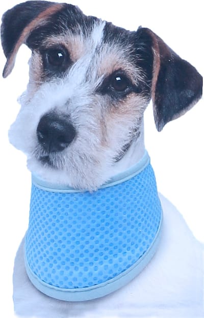 Kowloon Cool bandana PVA blauw XS, 20-30 cm