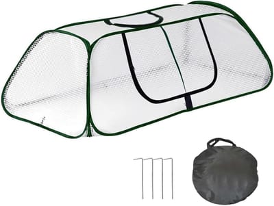 Kas Protector - Plantenhoes - Zaailingen Beschermen - Goede Ventilatie - 35 x 35 x 5 cm - Groen