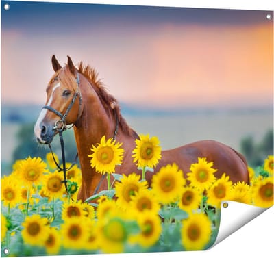 Gards Tuinposter Bruin Paard tussen de Zonnebloemen - 100x80 cm - Tuindoek - Tuindecoratie - Wanddecoratie buiten - Tuinschilderij