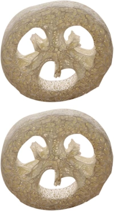 Natuurlijke Loofah Plakjes - Zeepkist Gereedschap - Douche Reiniging - Handgemaakt Natuurproduct - 6cm Diameter - Beige Geel