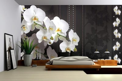 Flowers Floral Orchids Pattern Photo Wallcovering